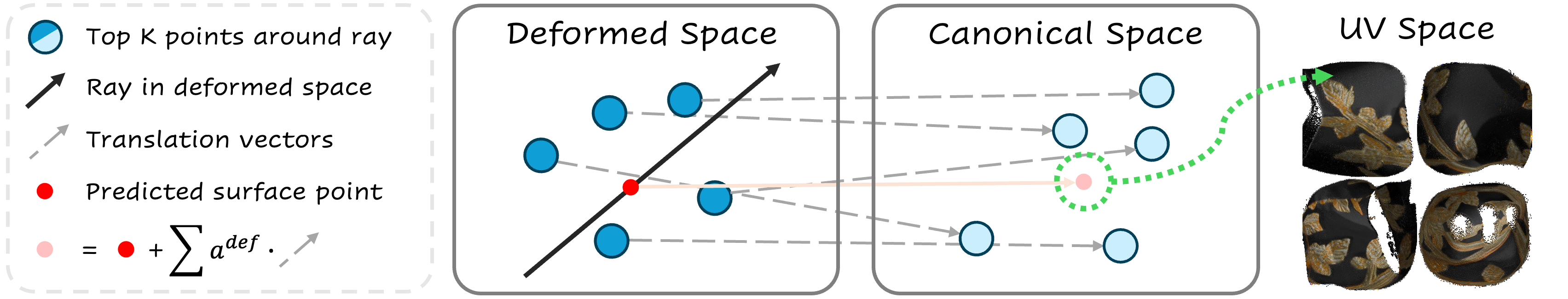 Deformation-aware canonical correspondence